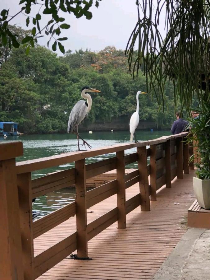 Апартаменты Barra Da Tijuca Rio De Janeiro Ilha Da Gigoia Экстерьер фото